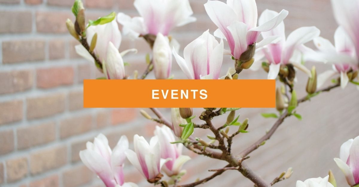 Spring Concerts at the Orem Library | Events