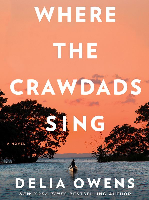 Where the Crawdads Sing | Book and Film Review 